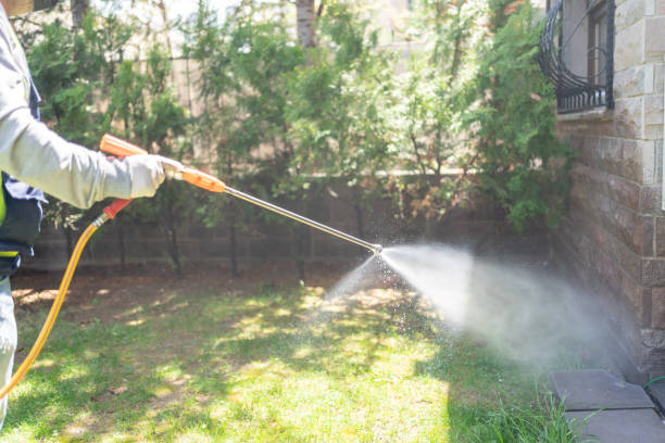 Best Seasonal Pest Control (e.g., summer mosquitoes, winter rodents)  in Meadowbrook, VA